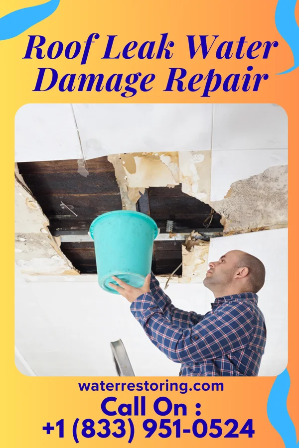 Roof Leak Water Damage Repair in Martinsburg, PA