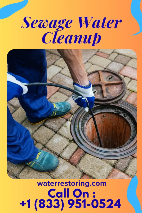 Sewage Water Cleanup in Martinsburg, PA