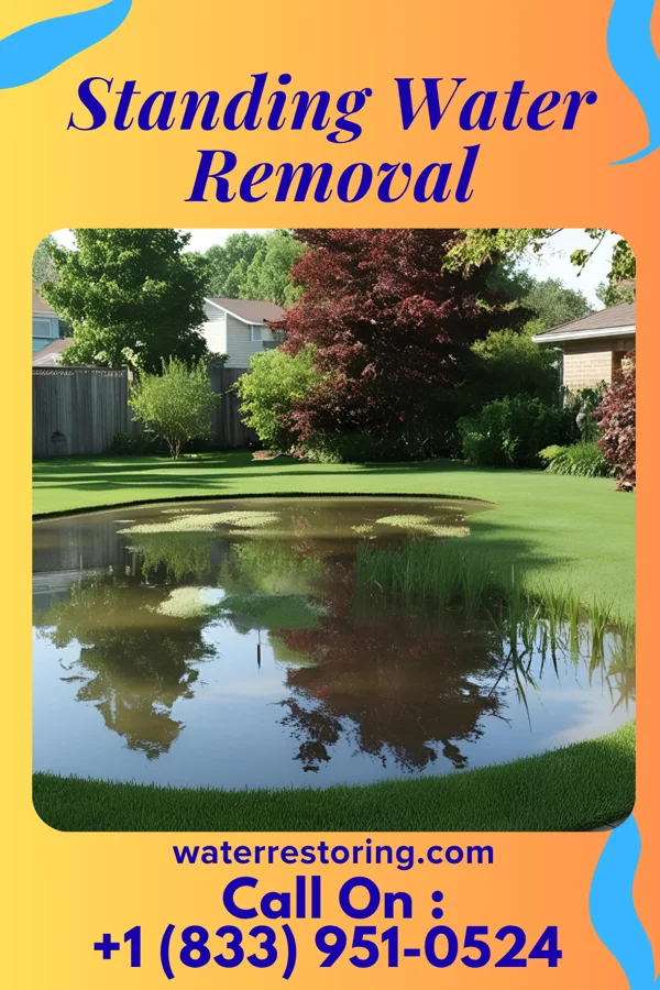 Standing Water Removal in Martinsburg, PA